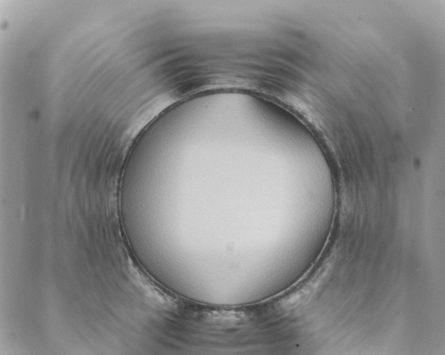 X0000089371137200707061108