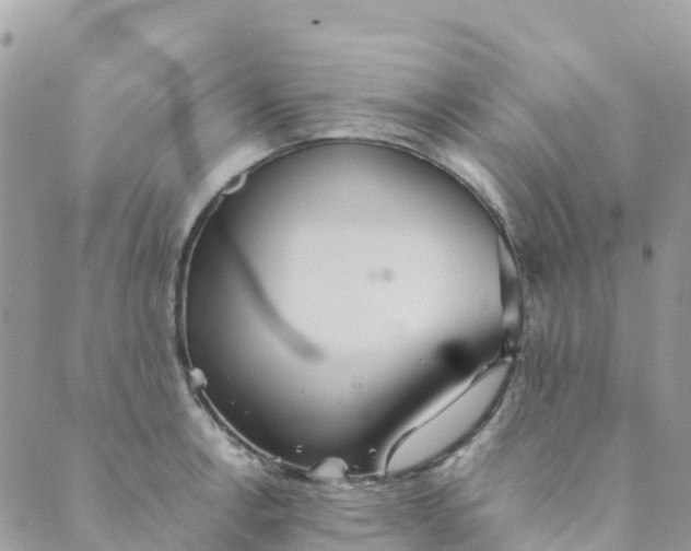 X0000089371138200707061108