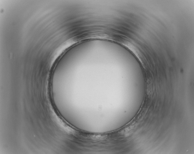 X0000089371139200707061108