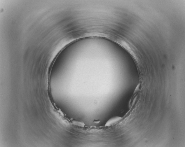 X0000089371140200707061108