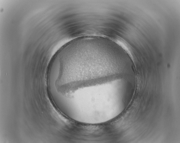 X0000089371141200707061108