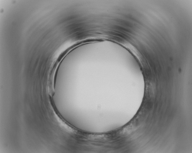 X0000089371143200707061108