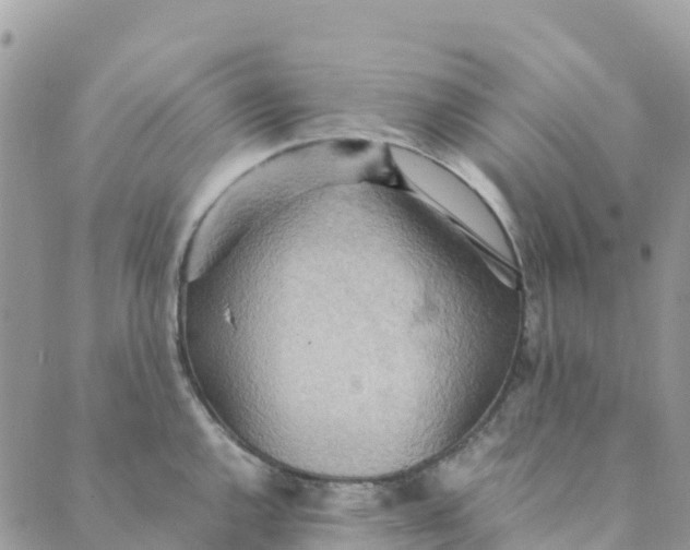 X0000089371144200707061108