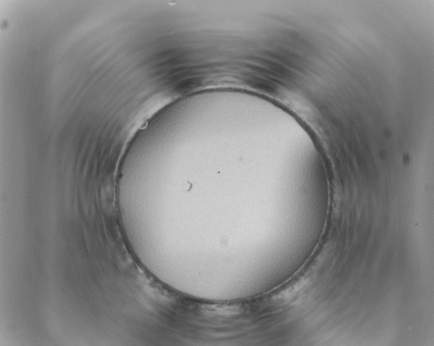 X0000089371145200707061108