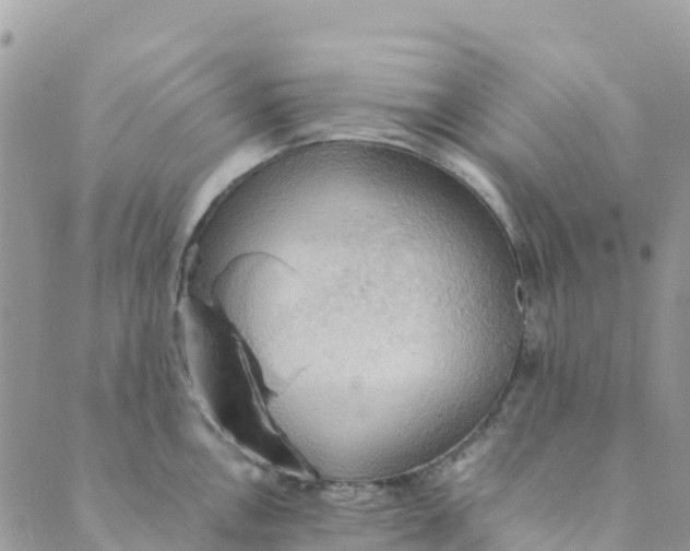 X0000089371146200707061108