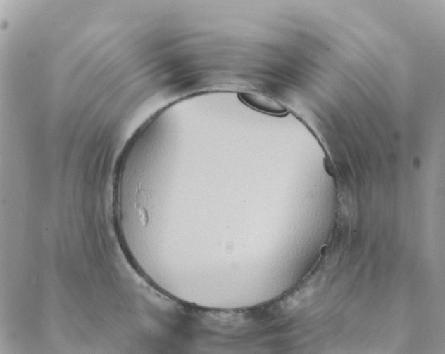 X0000089371147200707061108