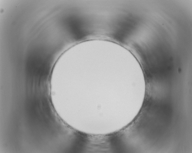 X0000089371150200707061108