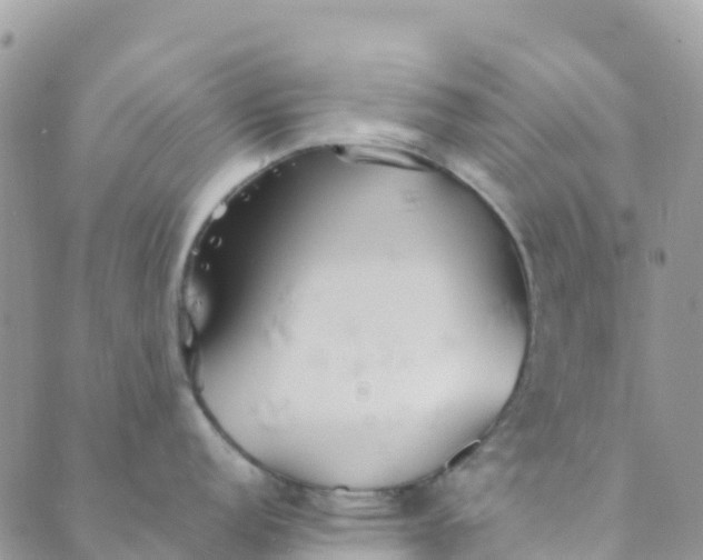 X0000089371152200707061108