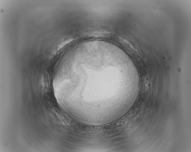 X0000089371158200707061107