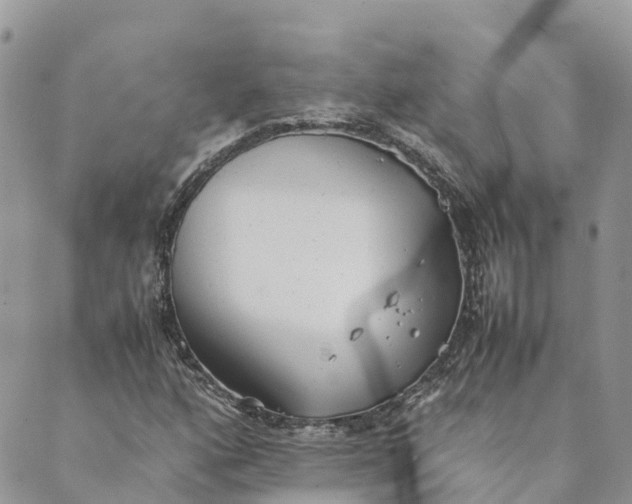 X0000089371160200707061107