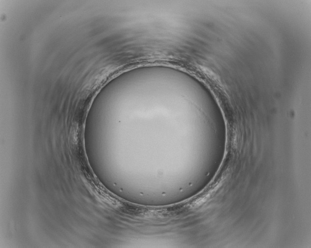 X0000089371161200707061107