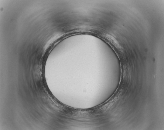 X0000089371164200707061107