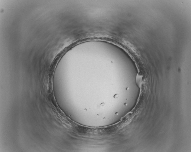 X0000089371165200707061107