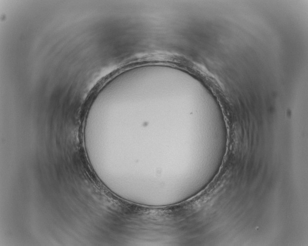 X0000089371166200707061107