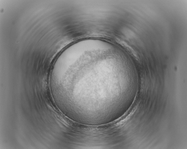 X0000089371170200707061107