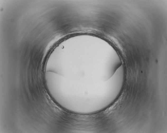 X0000089371172200707061107