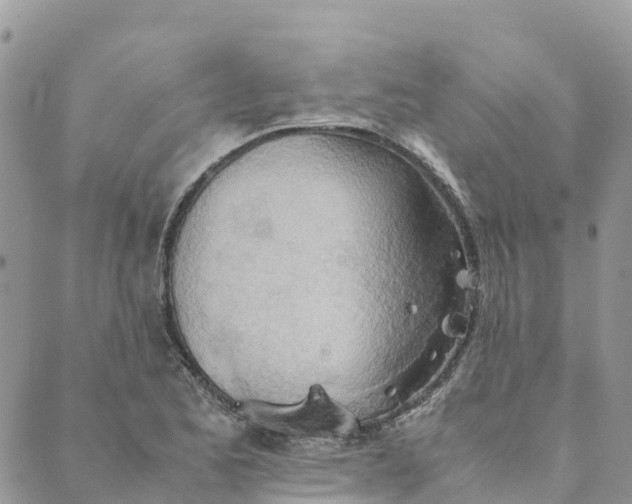 X0000089371173200707061107