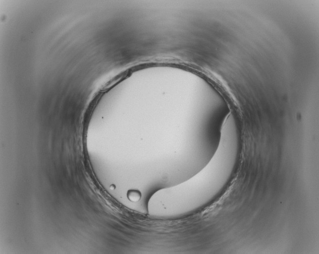 X0000089371176200707061107