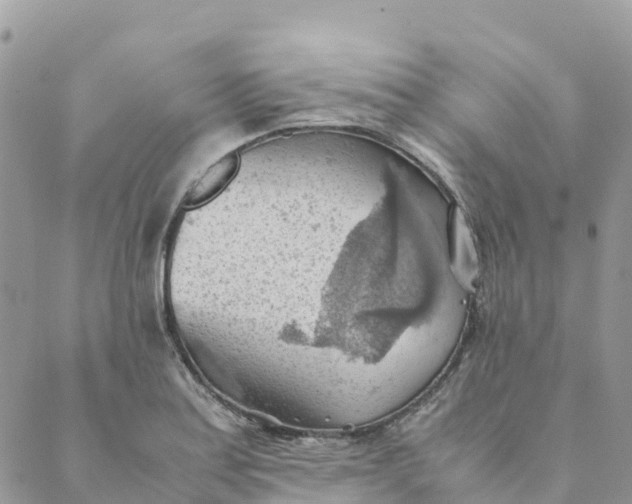 X0000089371179200707061107