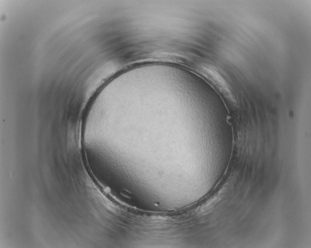 X0000089371180200707061107