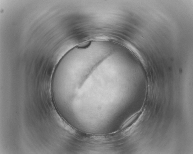 X0000089371194200707061106