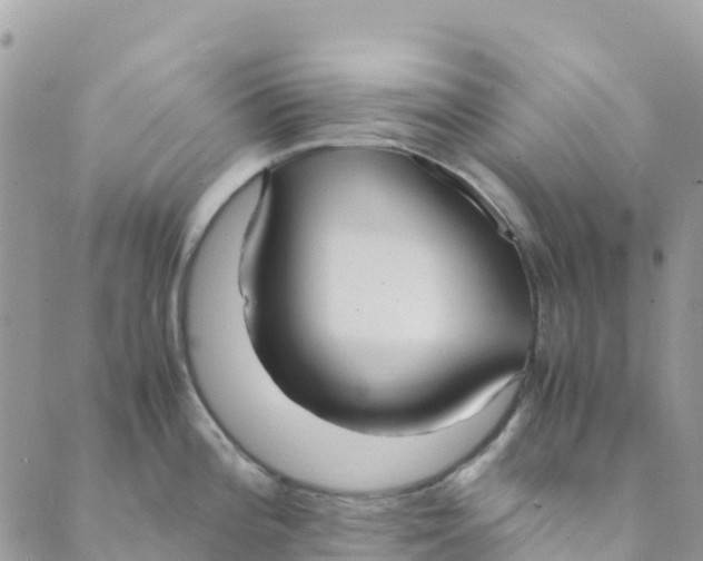 X0000089371196200707061106