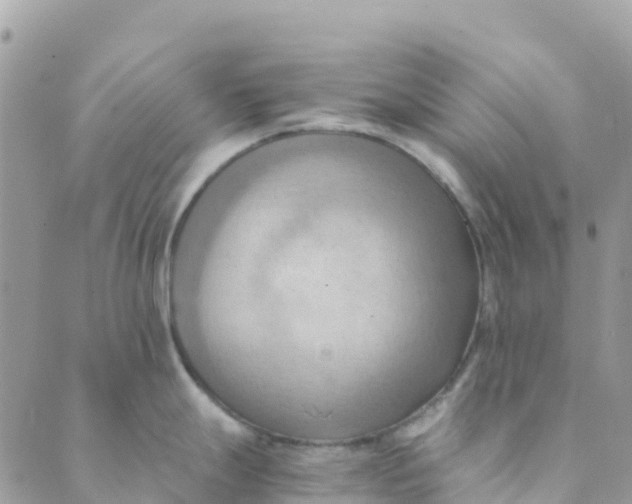 X0000089371247200707061106