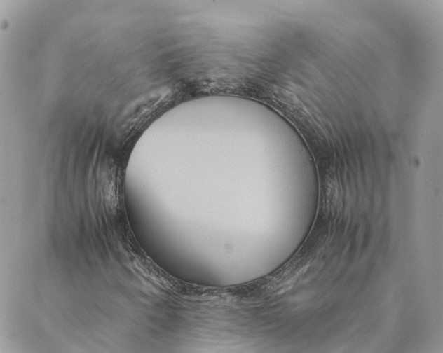 X0000089371250200707061105