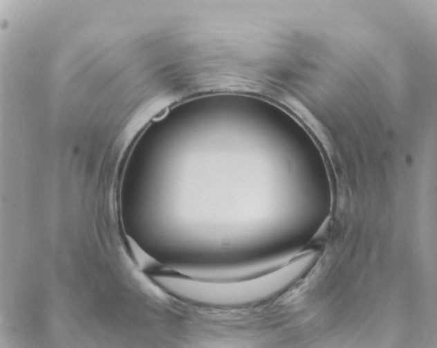 X0000089371293200707061105