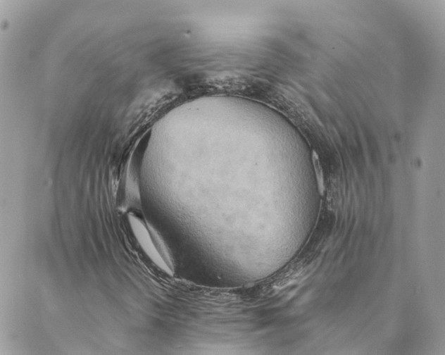 X0000089371298200707061104