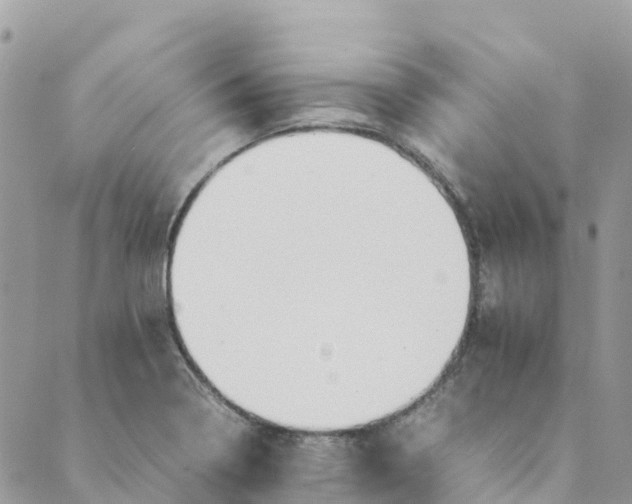 X0000089371322200707061104