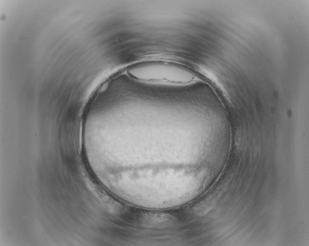 X0000089371323200707061104