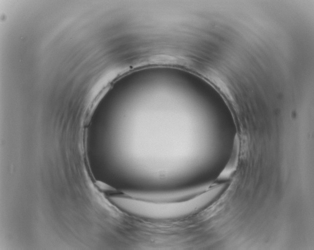 X0000089371342200707061105