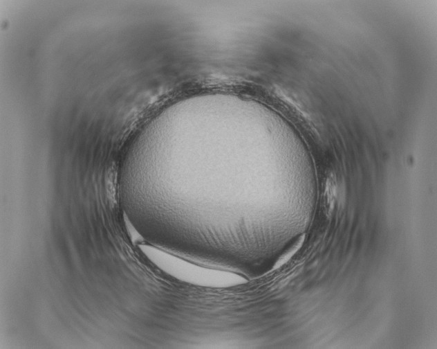 X0000089371348200707061104