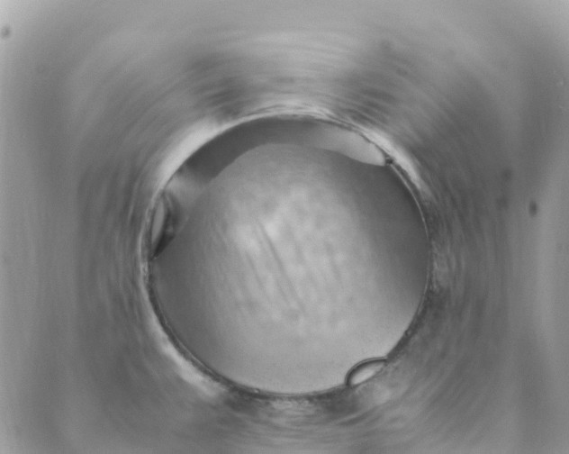 X0000089371383200707061103