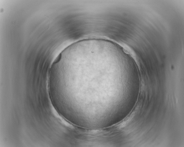 X0000089371390200707061103