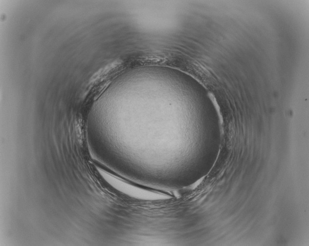 X0000089371394200707061102