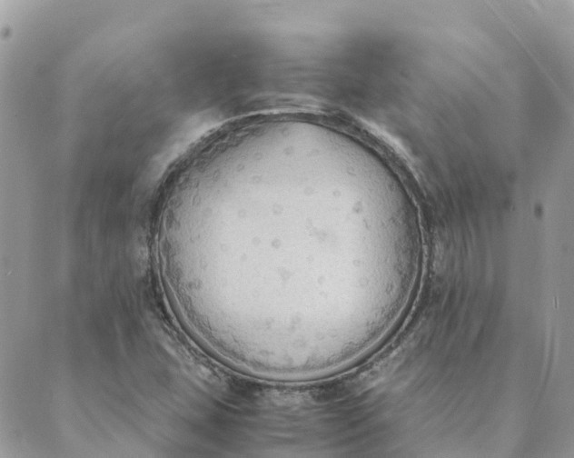 X0000089371407200707061103