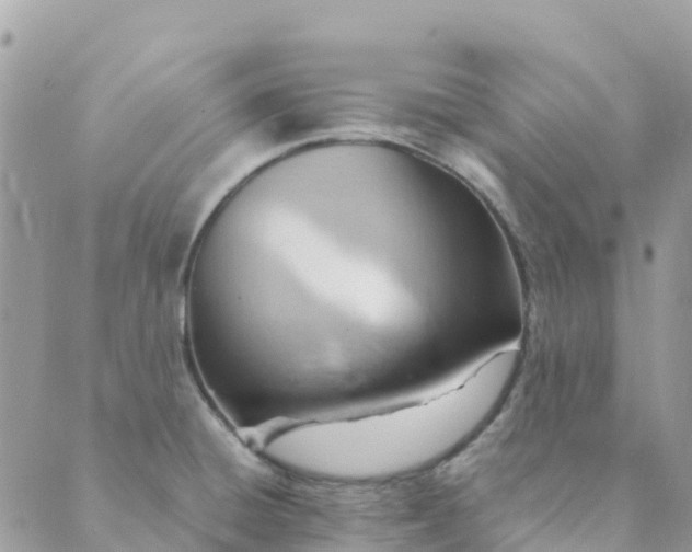 X0000089371428200707061103