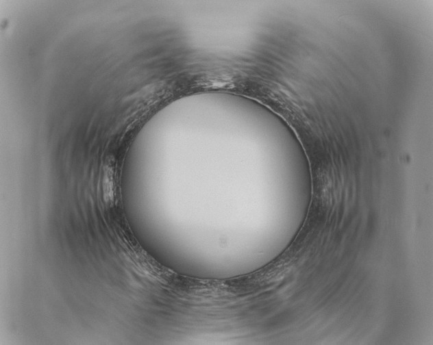 X0000089371442200707061102