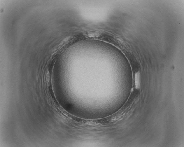 X0000089371443200707061102