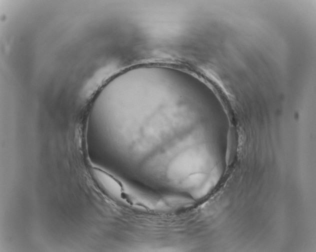 X0000089371455200707061102