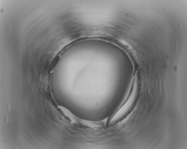X0000089371457200707061102