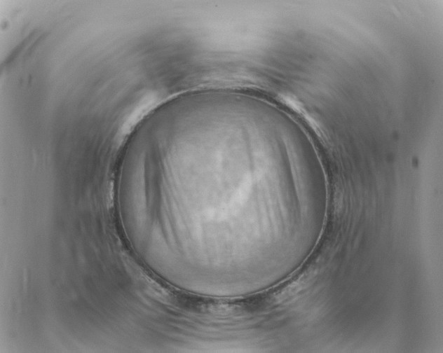X0000089371459200707061102