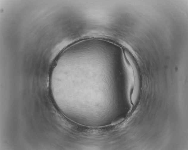 X0000089371461200707061102