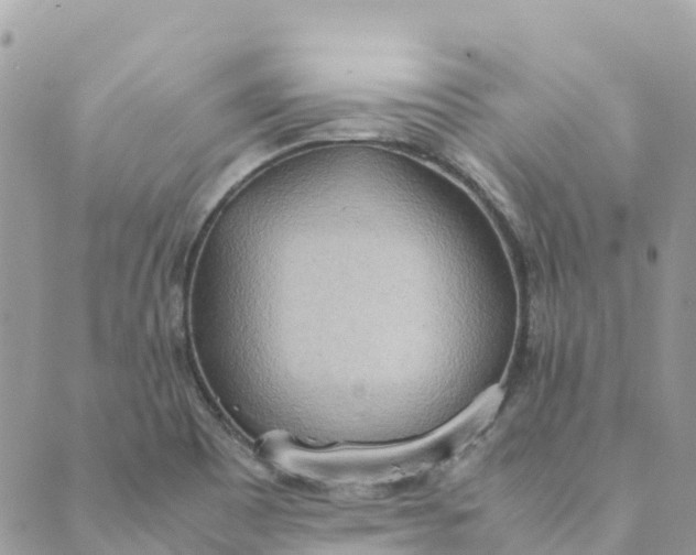 X0000089371465200707061102