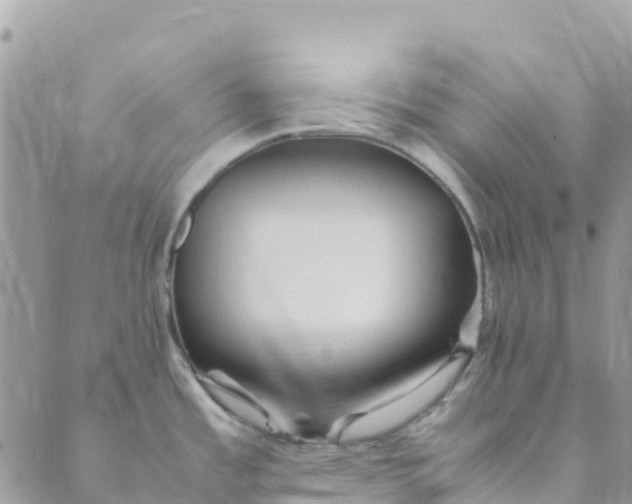 X0000089371485200707061102