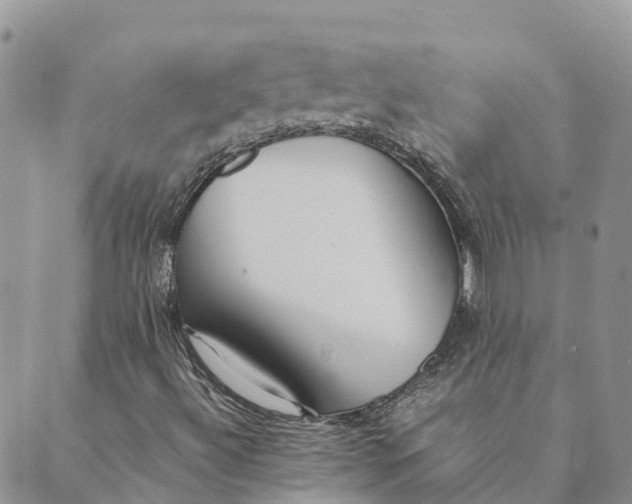 X0000089371492200707061101