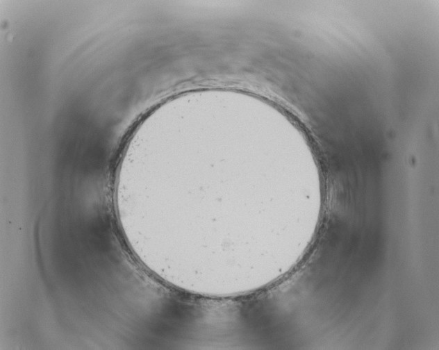 X0000089371498200707061101
