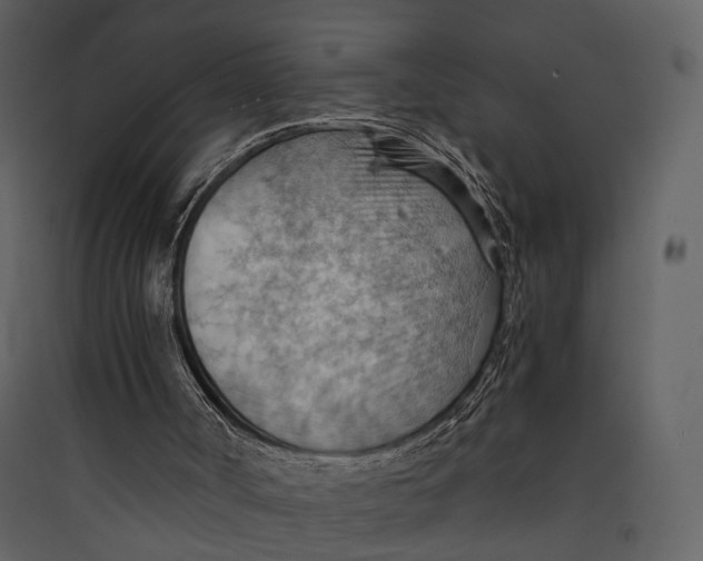 X0000089370002200707131647